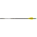 Easton X10 Parallel Pro Arrows 250 AAE Hybrid 26 vanes 6 pk.