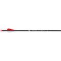 Victory Rival Arrows 250 6 pk.