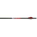 Black Eagle Executioner Crossbow Bolt .001 20 in. 6 pk.