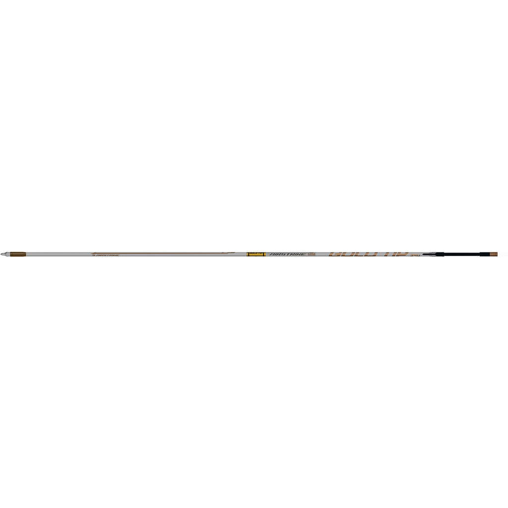 Gold Tip AirStrike Arrows 300 Raptor Vanes 6 pk.