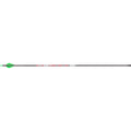 Victory VAP Sport Arrows 300 Raptor Vanes 6 pk.