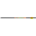 Black Eagle Zombie Slayer Crossbow Bolts .001 20 in. Blazer Vanes 6 pk.