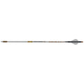 Gold Tip AirStrike Arrows 250 Raptor Vanes 6 pk.