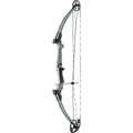 Genesis Bow  Ash LH