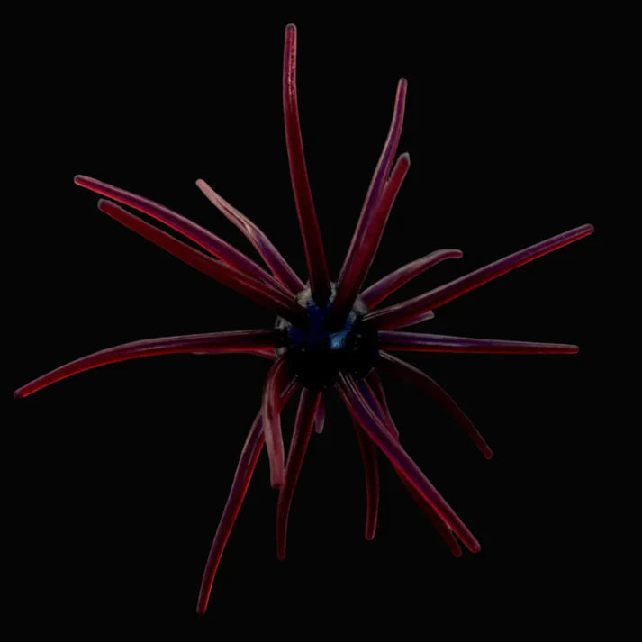 Burtek Tackle Jerkin Urchin 25MM Scuppernong