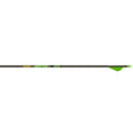 Gold Tip Hunter XT Arrows 300 Raptor Vanes 6 pk.