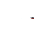 Gold Tip Hunter Arrows 500 4 in. Feathers 6 pk.