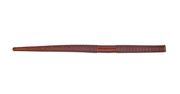 5 SS SKINNY STICK SCUPPERNONG 10PK