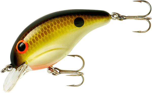 BANDIT MR 1/4 2 TENNESSEE SHAD