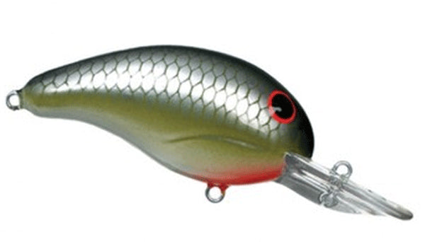 BANDIT MR 1/4 2 LA SHAD