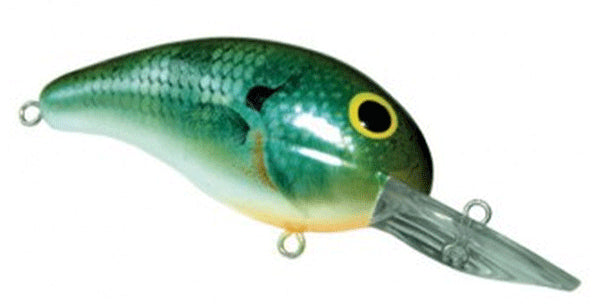 BANDIT MR 1/4 2 BLUE GILL