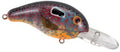 BANDIT MR 2 1/4 SUN PERCH
