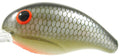 BANDIT DR 1/4 2 LA SHAD