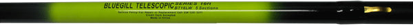 HICKS BLUEGILL 6S-20' TELE POLE