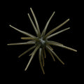 Burtek Tackle 20mm JERKIN URCHIN Green Pumpkin