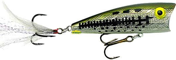 REB POPR MAG 1/2 3-OLD BASS