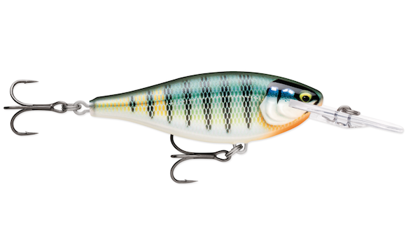SHAD RAP ELITE 55 GILDED BLUE GILL