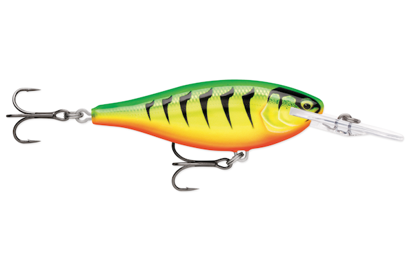 SHAD RAP ELITE 55 GILDED FIRE TIGER