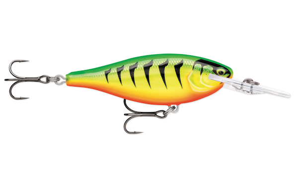 SHAD RAP ELITE 75 GILDED FIRE TIGER