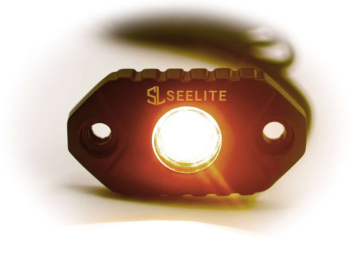 SeeLite 9W LED Rock Light