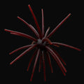 Burtek Tackle Jerkin Urchin 25MM Scuppernog Green Flake