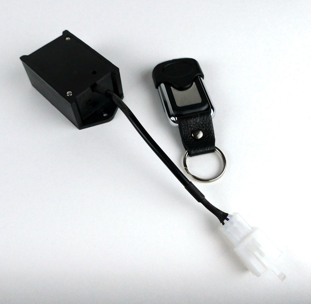 SeeLite Wireless Remote