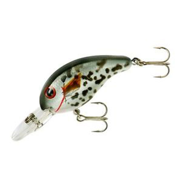 BANDIT DR 1/4 2 CRAPPIE