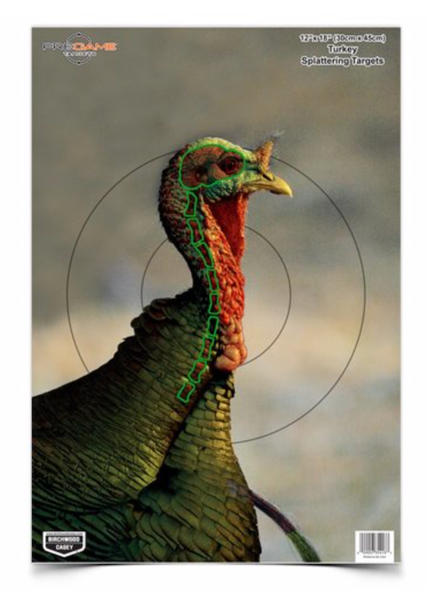 BC PREGAME 12 X 18 TKY TARGET 8PK
