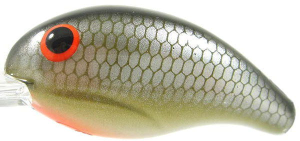 BANDIT DR 1/4 2 LA SHAD