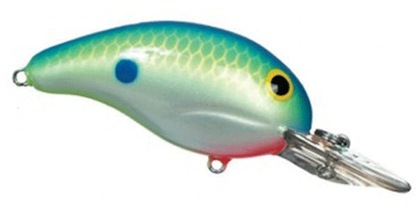 BANDIT DR 1/4-2 CITRUS SHAD